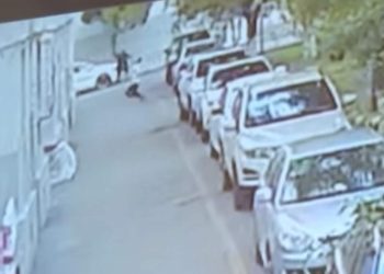 (VIDEO) Ve a un bebé a cayendo desde un 5º piso y lo salva en el último segundo