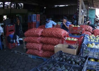 Precio de la papa se duplica en El Salvador