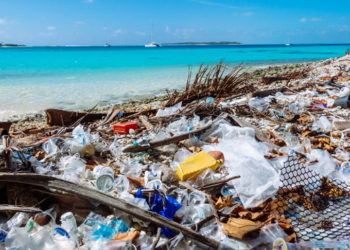 Hallan millones de piezas de plástico en remota isla del Océano Índico