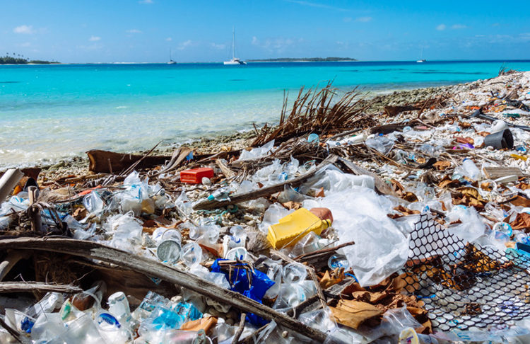 Hallan millones de piezas de plástico en remota isla del Océano Índico