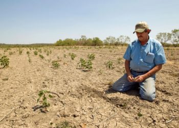 Cultivos en la mayor parte del territorio nacional serán afectados por bajas lluvias, advierte OIRSA