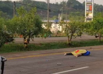 Motociclista muere al ser impactado por un vehículo en carretera de Oro