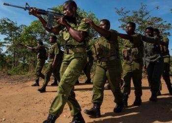 “Las Valientes” de Zimbabue, mujeres que luchan contra la caza furtiva