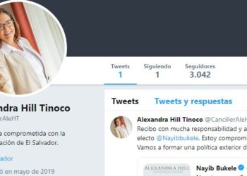 El primer tuit de la próxima canciller Alexandra Hill: «Vamos a formar una política exterior de la nueva era»