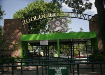 Suecy Callejas afirma ministerio de Cultura no cerrará Zoológico Nacional