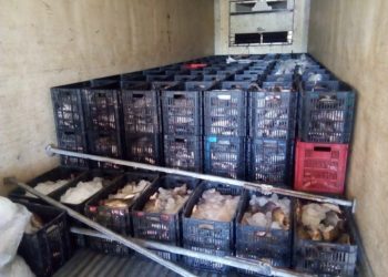 Decomisan 16 mil libras de tilapia que fue ingresada en frontera de Santa Ana