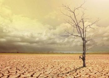 El cambio climático causaría el fin de civilización humana en el año 2050