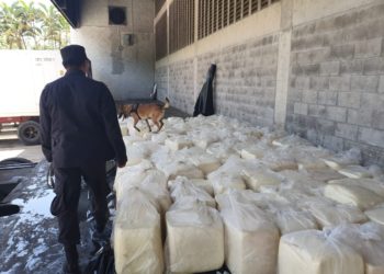 Policía incauta $150 mil en maquetas de queso que fueron ingresadas por la frontera El Poy