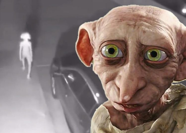 Captan en video a Dobby, el elfo de Harry Potter