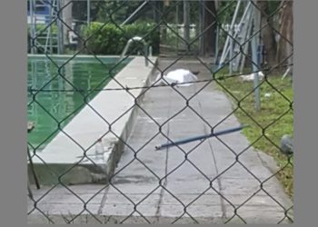 Alumno de la ANSP fallece en práctica de natación en San Luis Talpa