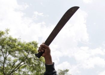 Niño logra impedir secuestro al utilizar un machete como defensa