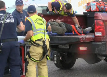 Mueren seis migrantes salvadoreños en accidente automovilístico al intentar escapar de la policía en Texas
