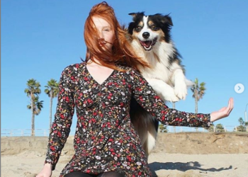 (Video) Una perra juega al Jenga y conquista las redes sociales