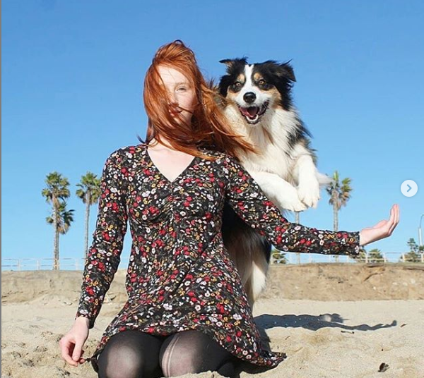 (Video) Una perra juega al Jenga y conquista las redes sociales