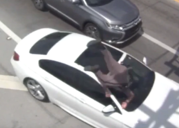 (Video) Atropellan a un policía en carretera de Florida