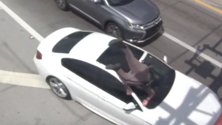 (Video) Atropellan a un policía en carretera de Florida