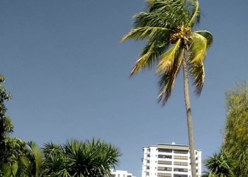 MARN pronostica pocas lluvias para este jueves