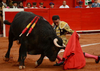 Pretenden prohibir las fiestas taurinas en todo México