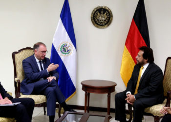 Félix Ulloa explica avances de la CICIES a ministro de Estado de Alemania