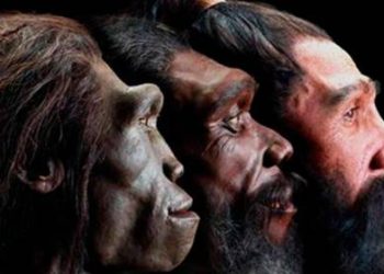 Identifican los restos de ‘Homo sapiens’ más antiguos fuera de África