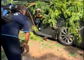 (VIDEO) Conductor estrella su vehículo en poste con cables de alta tensión y queda atrapado en calle a Metapán