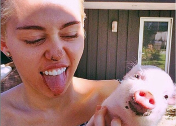 Murió Pig Pig, la cerda de Miley Cyrus