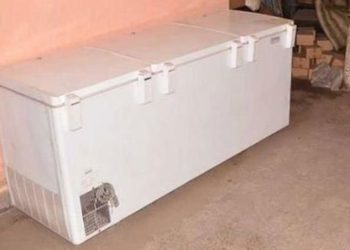 Mata a su mamá, la mutila y guarda las partes en un congelador