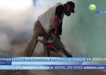 Epidemia de dengue en Honduras pone en alerta a ministerio de Salud de El Salvador