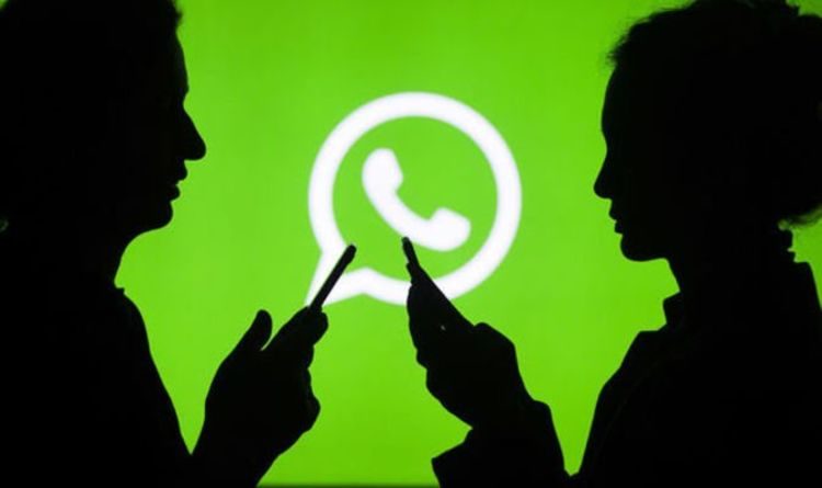 Whatsapp Permitiría Uso De Misma Cuenta De Distintos Dispositivos Diario La Página 6042