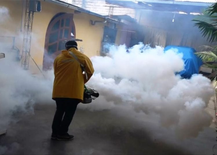 Epidemia de dengue en Honduras pone en alerta a Salud de El Salvador y realiza agresiva campaña contra el zancudo