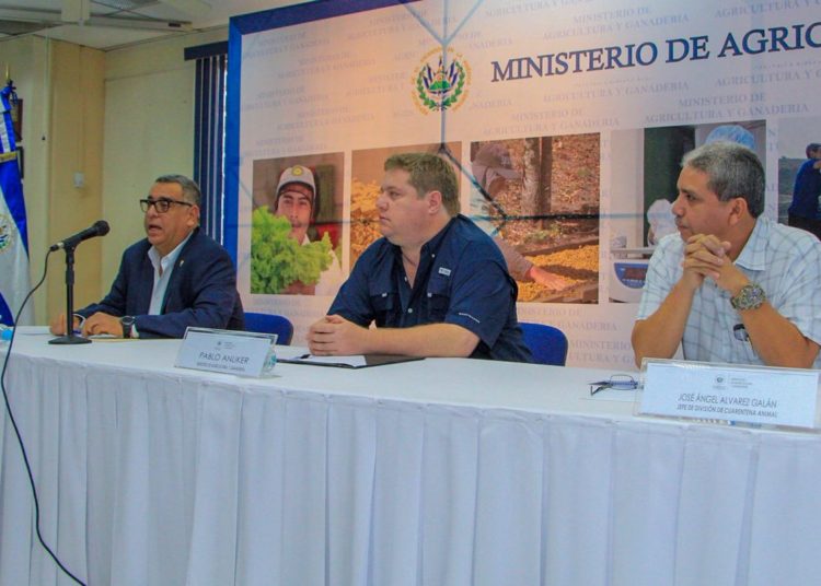 MAG emite alerta para prevenir Peste Porcina Africana