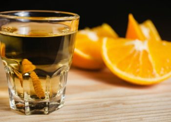 Estudio reveló cuál es la bebida alcohólica que no provoca resaca