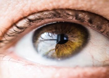 Crean aditamento para mejorar calidad de tejido corneal donado