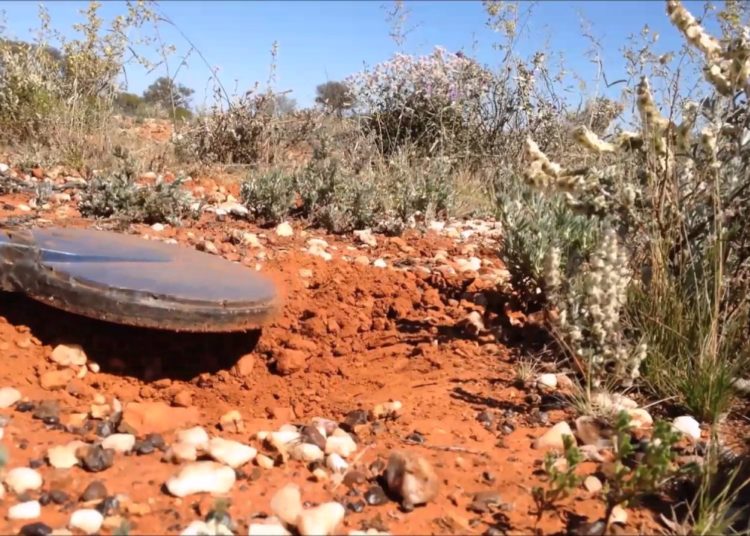 Durante años guardó una roca pensando que era oro, pero en realidad era otra cosa