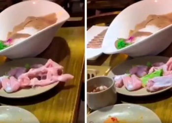 (VIDEO) Pechuga pollo cobra vida y «salta» de la mesa