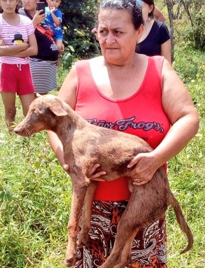 Locky, el perrito rescatado de un pozo encontró una familia que lo adoptará
