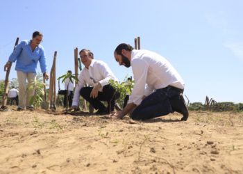 El Salvador y México lanzan Programa Sembrando Vida, que busca generar 20 mil empleos