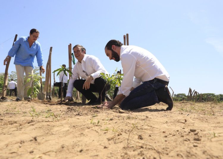 El Salvador y México lanzan Programa Sembrando Vida, que busca generar 20 mil empleos