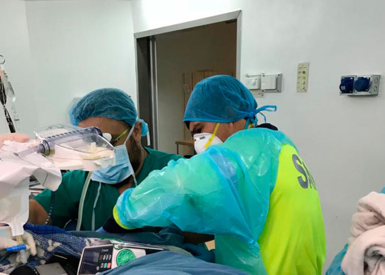 ¿Qué es el mortal Arenavirus y cómo se contagió el ‘paciente cero’ en Bolivia?