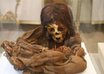 Bolivia recupera la momia de una niña que estuvo en EE.UU. durante 129 años