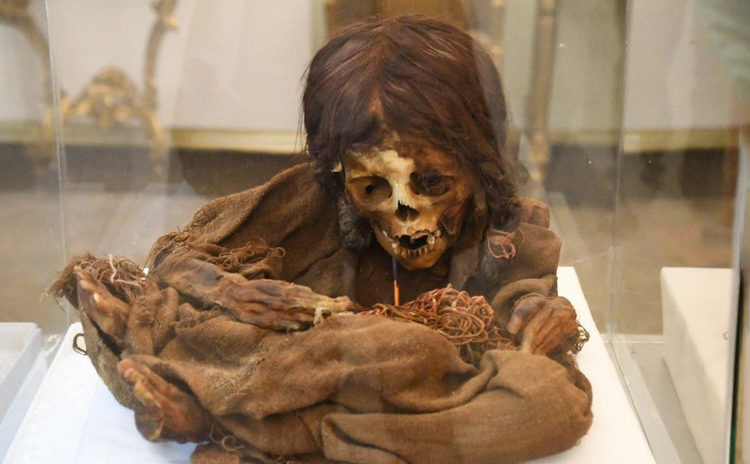 Bolivia recupera la momia de una niña que estuvo en EE.UU. durante 129 años