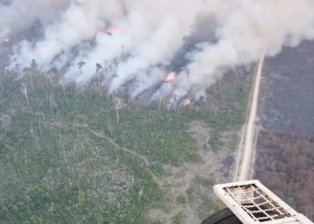 (VIDEO): Avanza el gigantesco incendio que devora la selva amazónica en Brasil