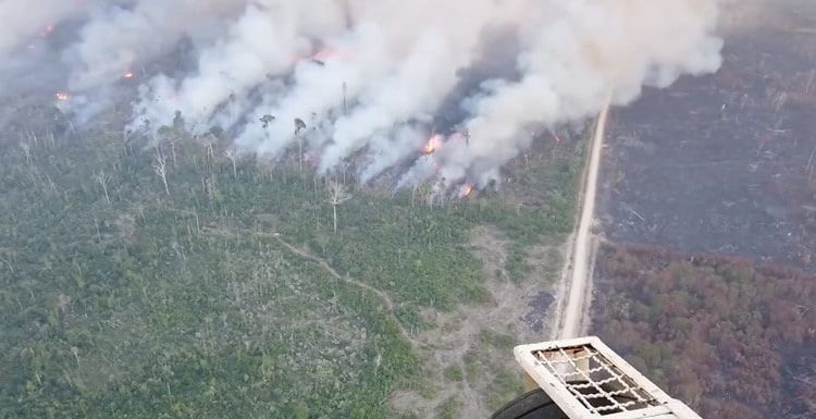 (VIDEO): Avanza el gigantesco incendio que devora la selva amazónica en Brasil