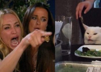 Este es el origen que pocos conocen del nuevo meme del gato en la mesa y la mujer que le grita