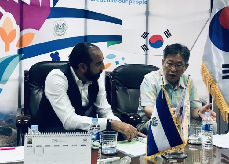 Comisionado presidencial anuncia la creación de primer instituto de desarrollo urbano en Centro América