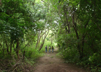 Gobierno confirma inversión de $5.4 millones para proyecto de medio ambiente