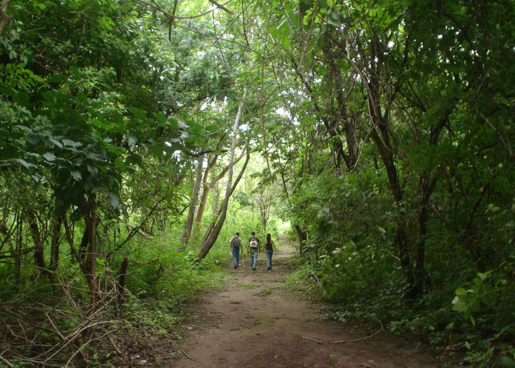 Gobierno confirma inversión de $5.4 millones para proyecto de medio ambiente