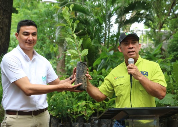 Alcaldía de San Miguel recibe árboles frutales para reforestar el municipio