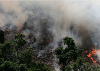 El presidente de Francia Emmanuel Macron acusó a Jair Bolsonaro de mentirle sobre el incendio en Amazonas