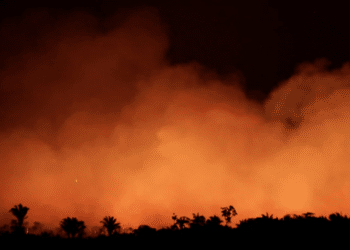 Un mes después y duras críticas, el presidente de Brasil ordena combatir el incendio en el Amazonas